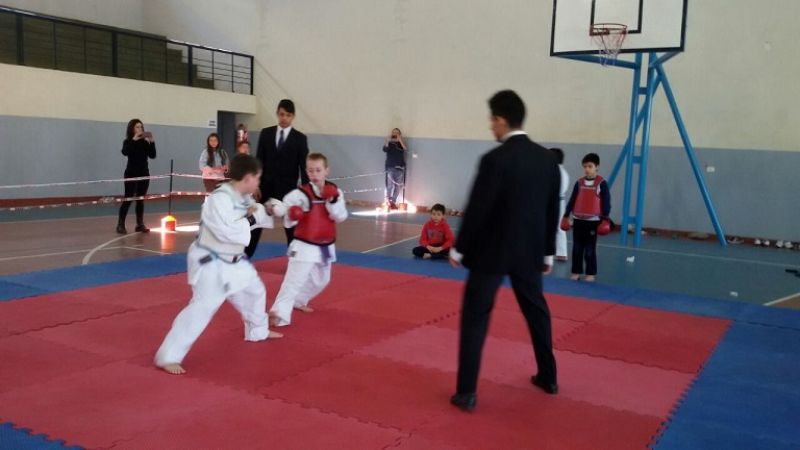 Torneo escolar de karate