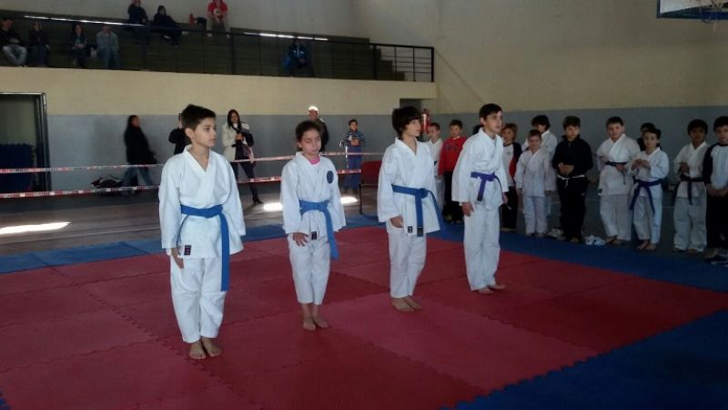 Torneo escolar de karate