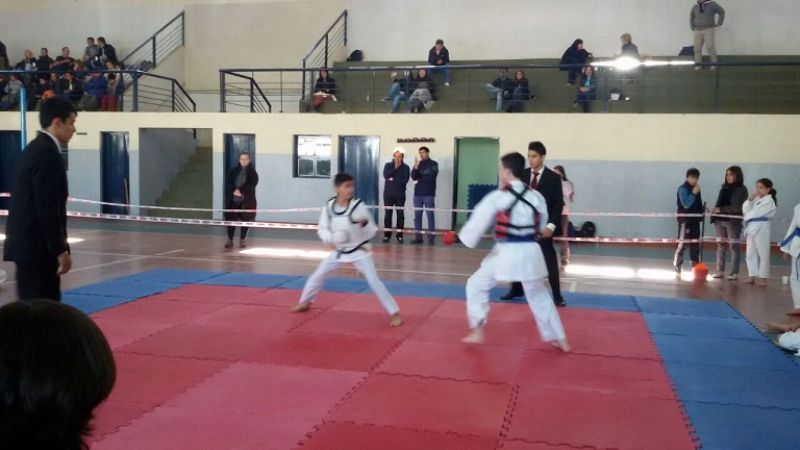 Torneo escolar de karate