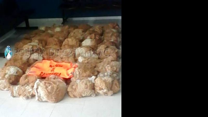 Tras una ardua persecución secuestran vellones de Vicuña