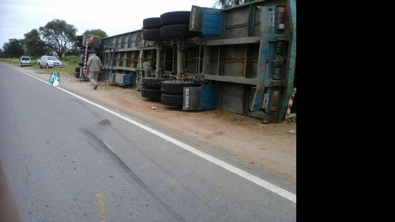 Tras el vuelco de un camión, murieron 30 animales