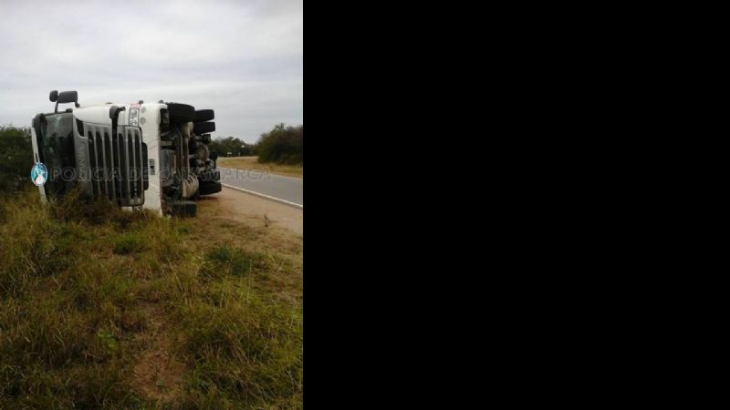 Tras el vuelco de un camión, murieron 30 animales