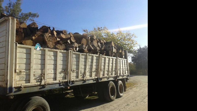 Secuestran más de 30 mil kilos de leña en Pomán