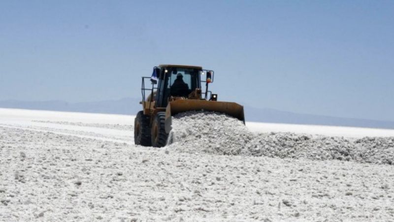Proponen armar una YPF del litio