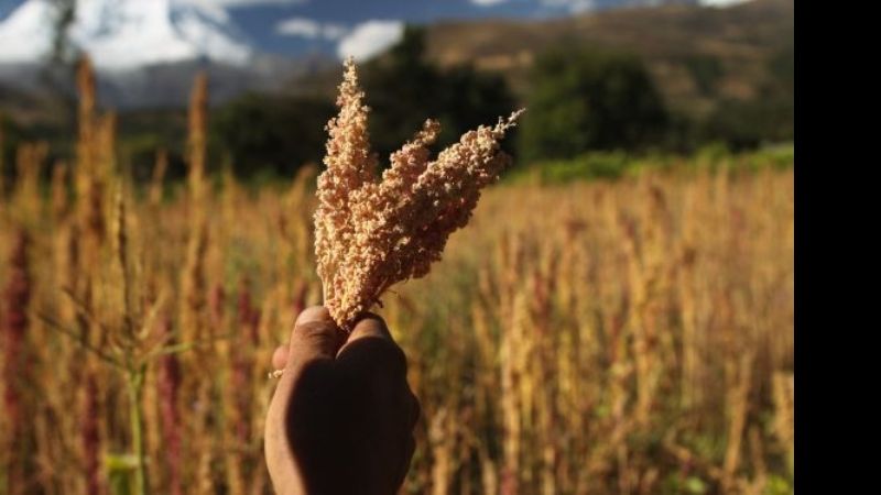 Clase de cocina con granos andinos en la Casa de la Cultura