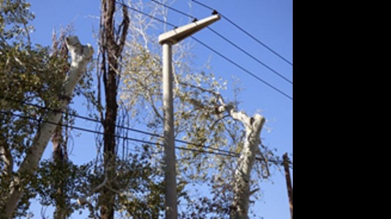 Un inútil pedido de informes