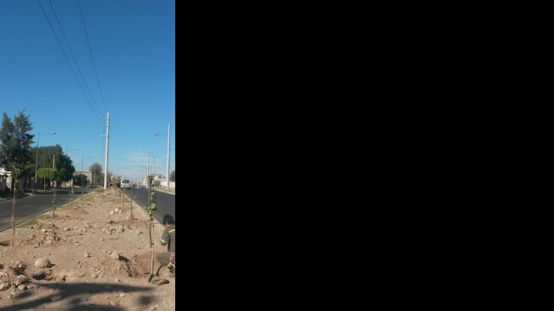 Se inaugura la obra de avenida Latzina