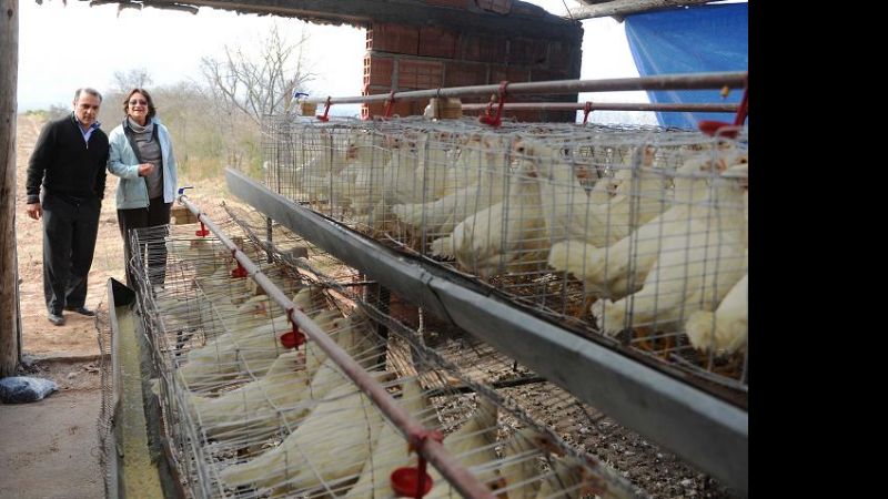 Corpacci: “Esperamos que la gente nos acompañe”