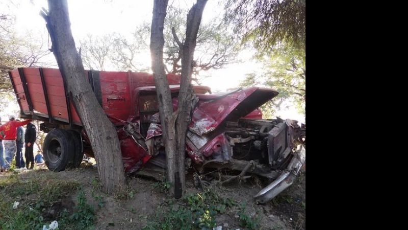 Camión perdió una rueda e impactó contra un árbol