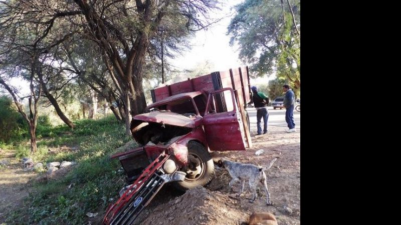 Camión perdió una rueda e impactó contra un árbol