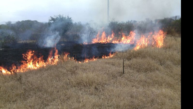 Incendio en plena Av. Chelemín