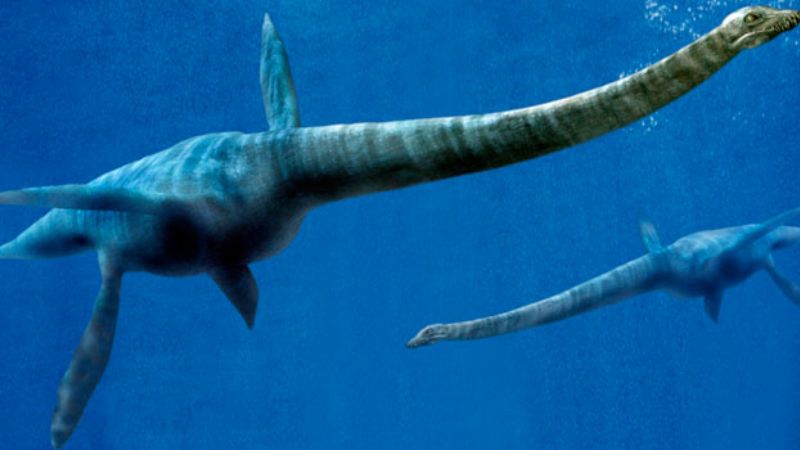 Hallan una nueva especie de plesiosaurio en la Antártida