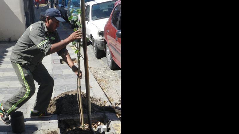 Trabajos de forestación y limpieza en toda la ciudad