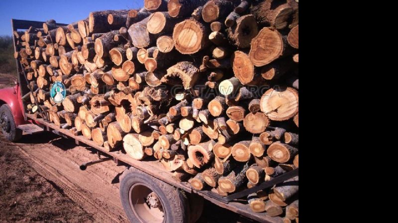 Aprehenden a tres jóvenes y secuestran dos camiones en La Paz