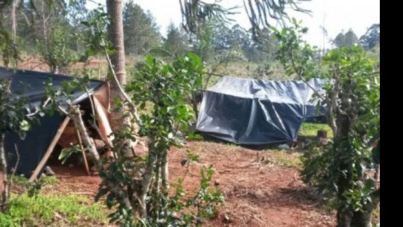 Empresas denunciadas por trabajo infantil y presunta trata laboral