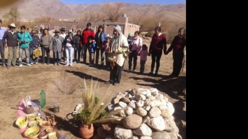 Nueva entrega de plantas frutales