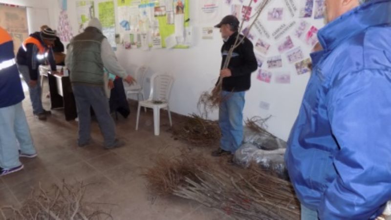 Nueva entrega de plantas frutales