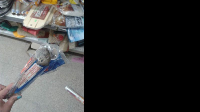 Clausuran comercio por presencia de roedores