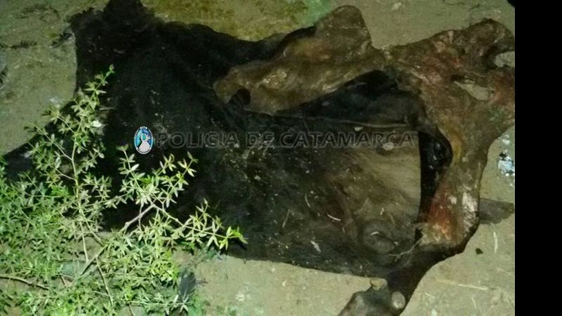 Esclarecen ilícito y secuestran 800 kilos de carne vacuna en Bañado de Ovanta