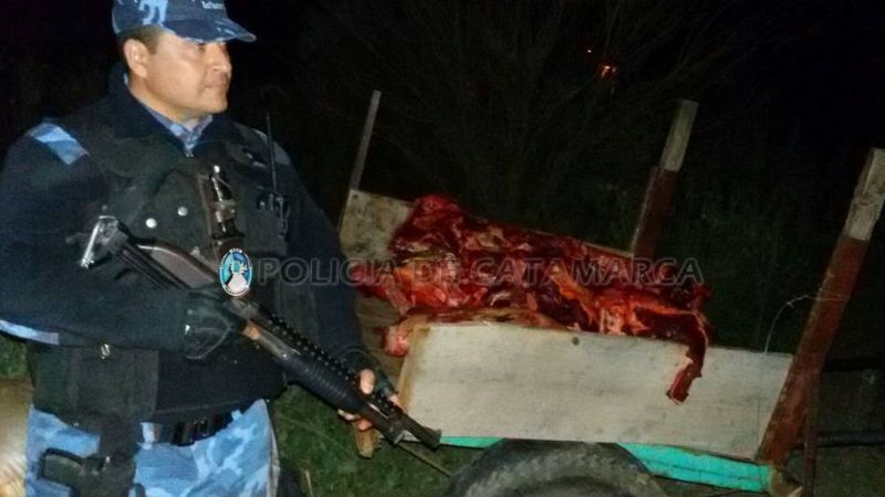 Esclarecen ilícito y secuestran 800 kilos de carne vacuna en Bañado de Ovanta