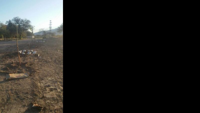 Reforestación de la margen del Río del Valle