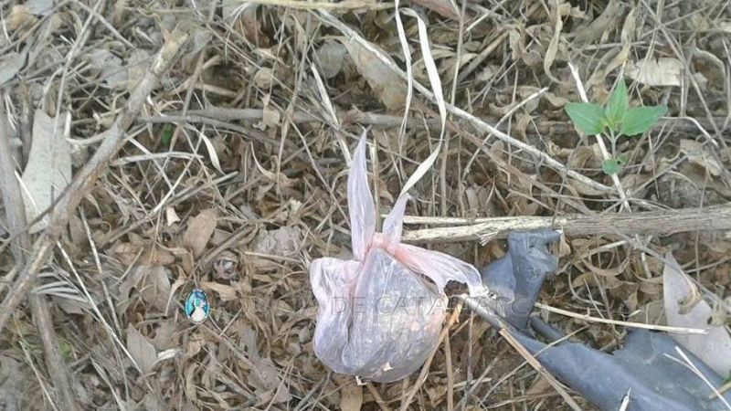 Secuestran droga en FME