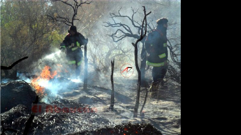 Casi dos hectáreas de viñedos fueron consumidos por el fuego en Palo Blanco