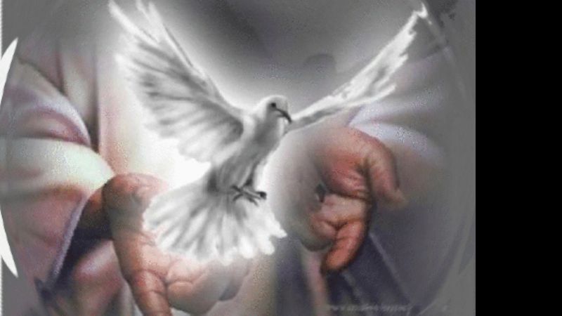 Seminario de Vida en el Espíritu