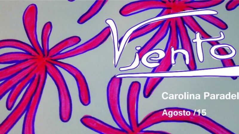 Carolina Paradela presenta “Viento” en el Museo de Bellas Artes