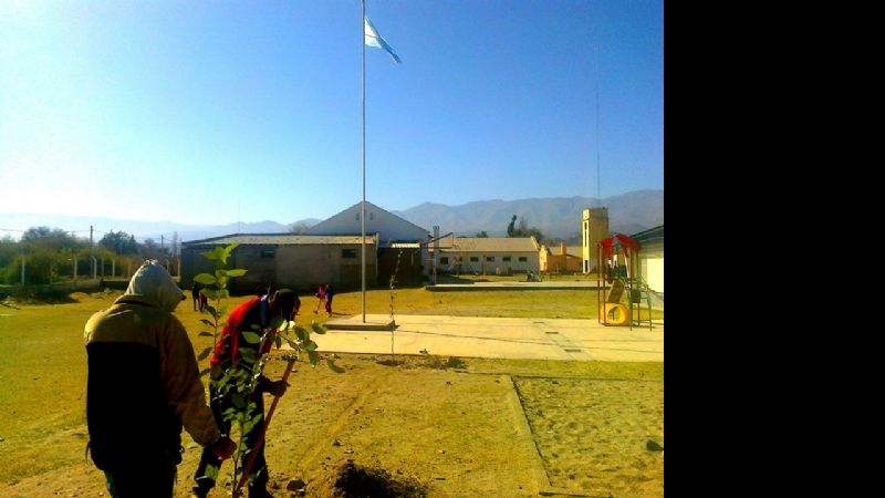 Santa María se sumó a la Semana del Árbol