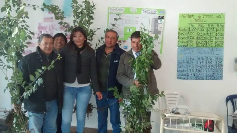 Santa María se sumó a la Semana del Árbol