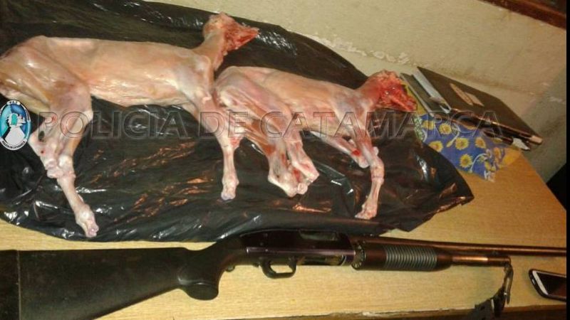 Iban en moto con dos cabritos faenados y una escopeta