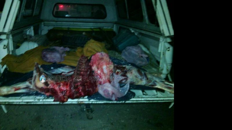 Secuestran 50 kilos de carne transportada en la caja de una camioneta