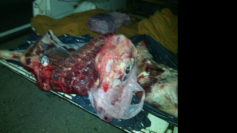 Secuestran 50 kilos de carne transportada en la caja de una camioneta