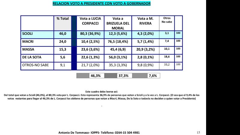 El FPV- PJ supera a los demás partidos políticos en las elecciones PASO