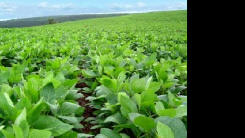 Provincias y municipios recibieron en 6 años 61.300 millones de pesos por retenciones a la soja