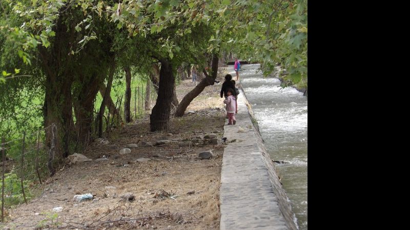 Imprudencia al borde