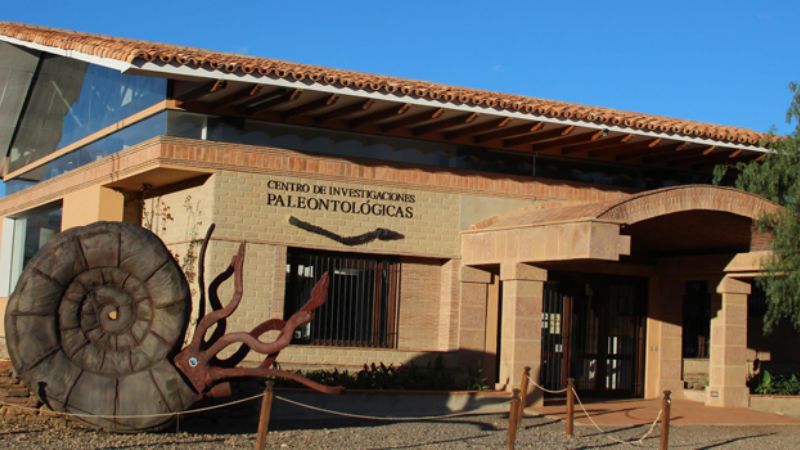 Descubren una nueva especie de dinosaurio saurópodo