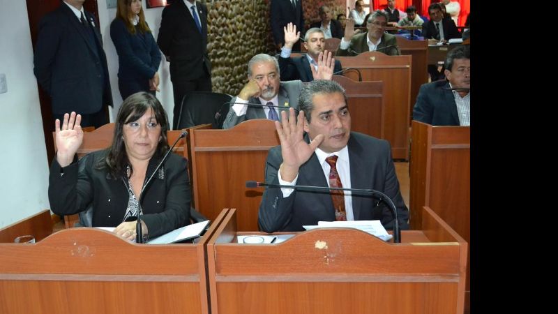 El Registro Único de Aspirantes a Guarda será tratado el 9 de septiembre