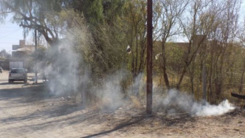 Operativos de limpieza y desmalezamiento en sitios baldíos