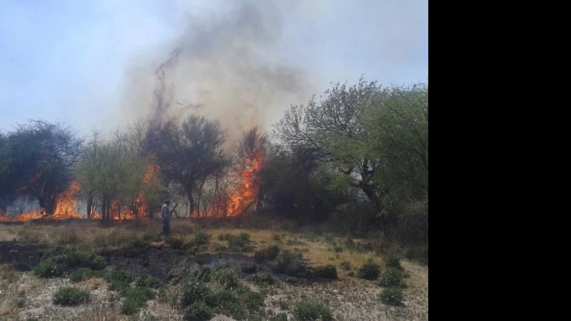 Ardua tarea para combatir un incendio en El Cerrito