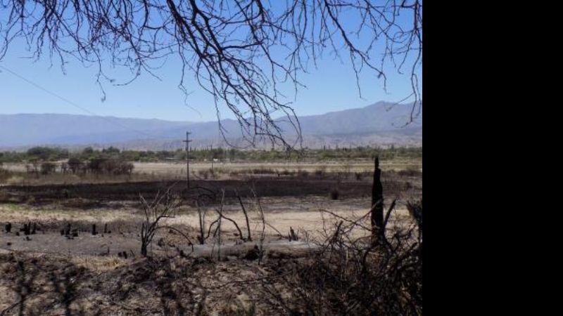 Analizan declarar estado de emergencia en Santa María