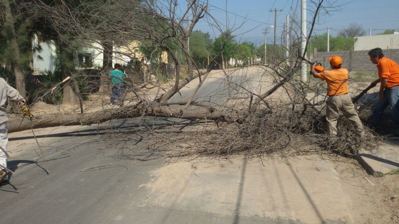 Ráfagas de 70 km/h en una jornada para el olvido
