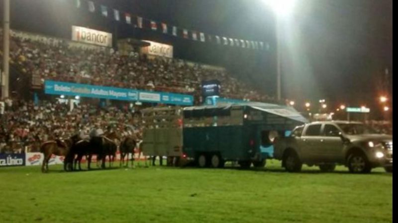 Fue sacrificado un caballo tras el festival de doma en Jesús María