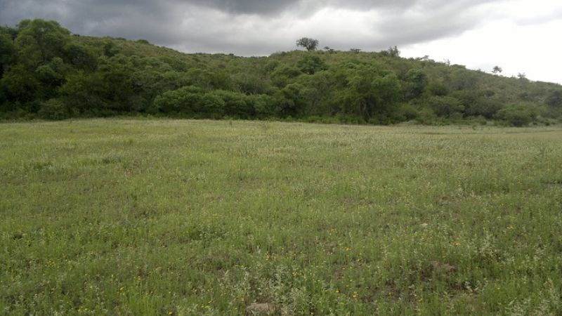 Bendecirán terreno donde construirán casa de rehabilitación de jóvenes adictos