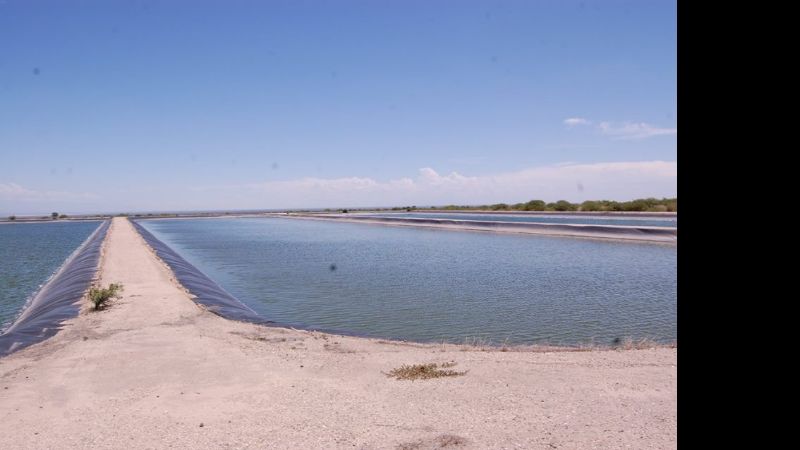 Descuidos de los vecinos provocan colapsos en la red cloacal en Andalgalá