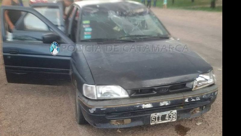 Se le cruzó un caballo