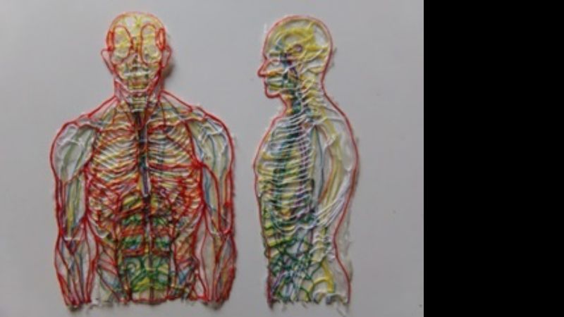 Artista andalgalense diseñó los sistemas del cuerpo humano, con hilos