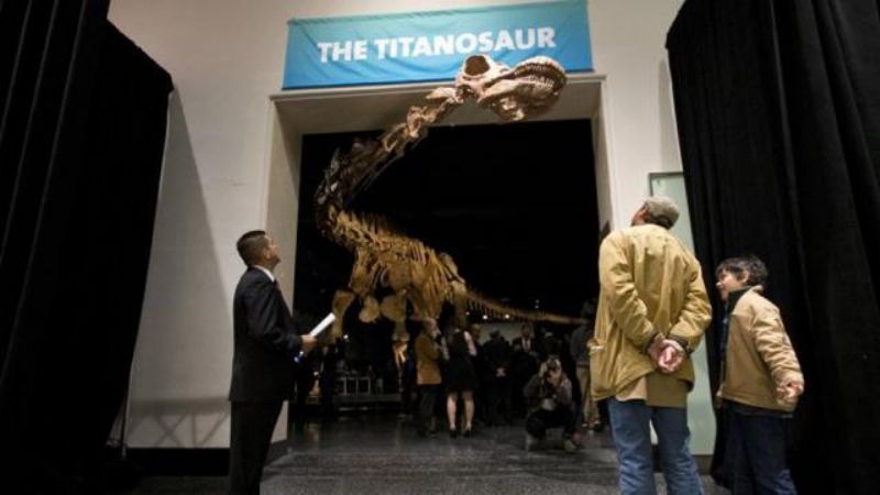 El titanosaurio "argentino", el más grande del mundo, se exhibe en Nueva York