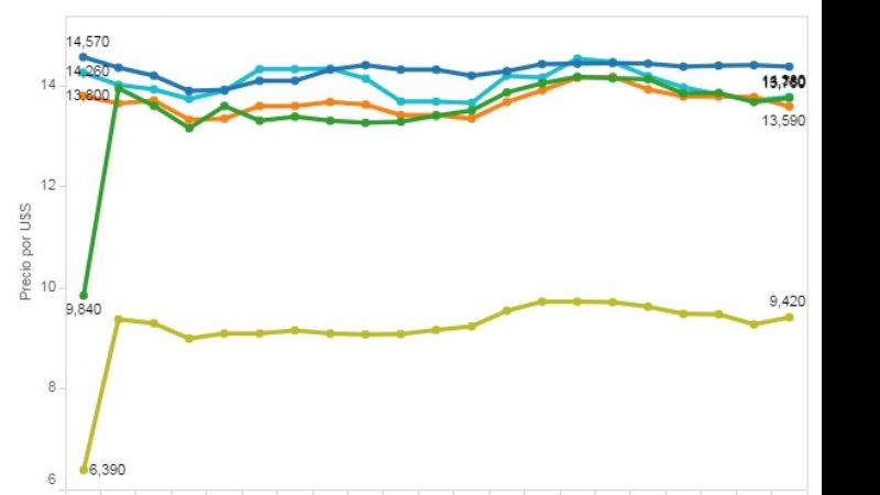 Un mes sin cepo: cómo evolucionó el precio del dólar